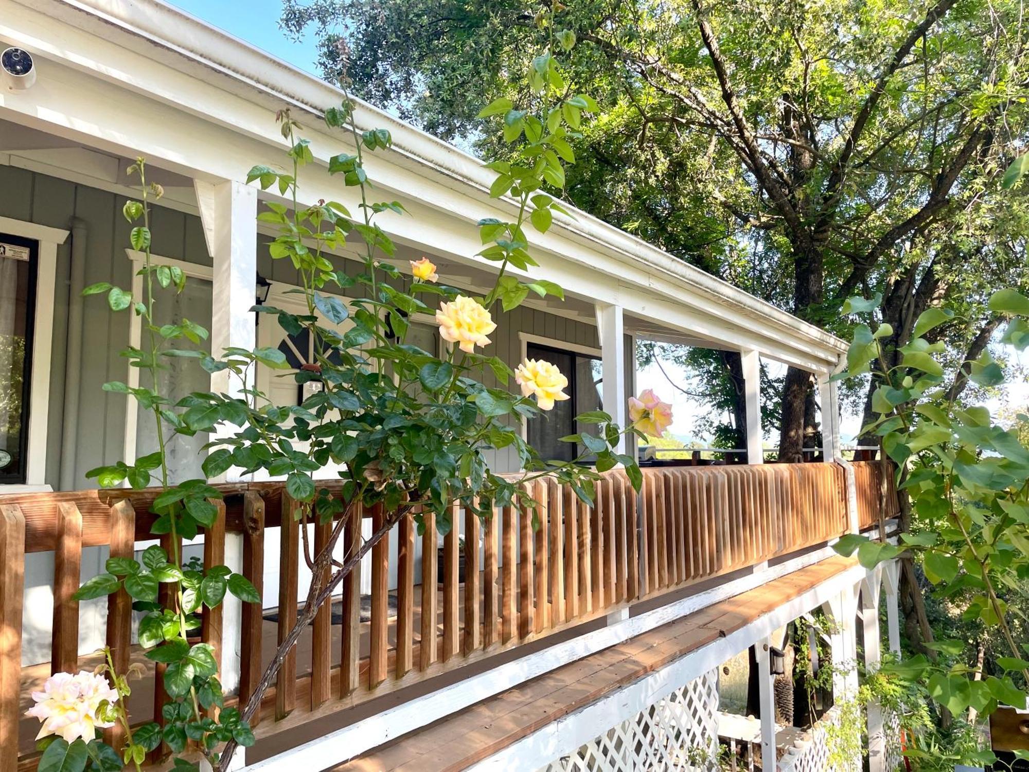 Sierra Mountain Lodge - Vacation Rentals - Yosemite 아와니 외부 사진