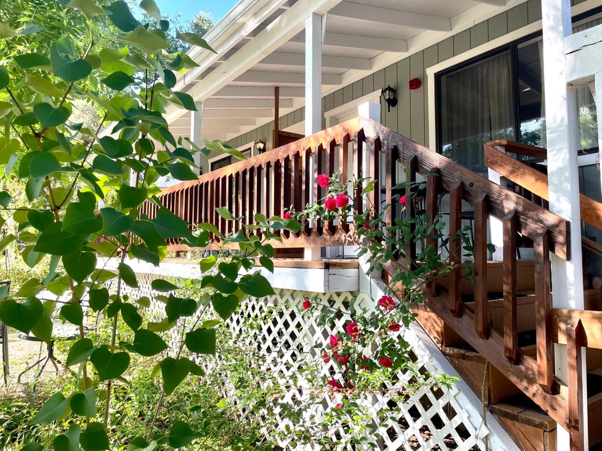 Sierra Mountain Lodge - Vacation Rentals - Yosemite 아와니 외부 사진