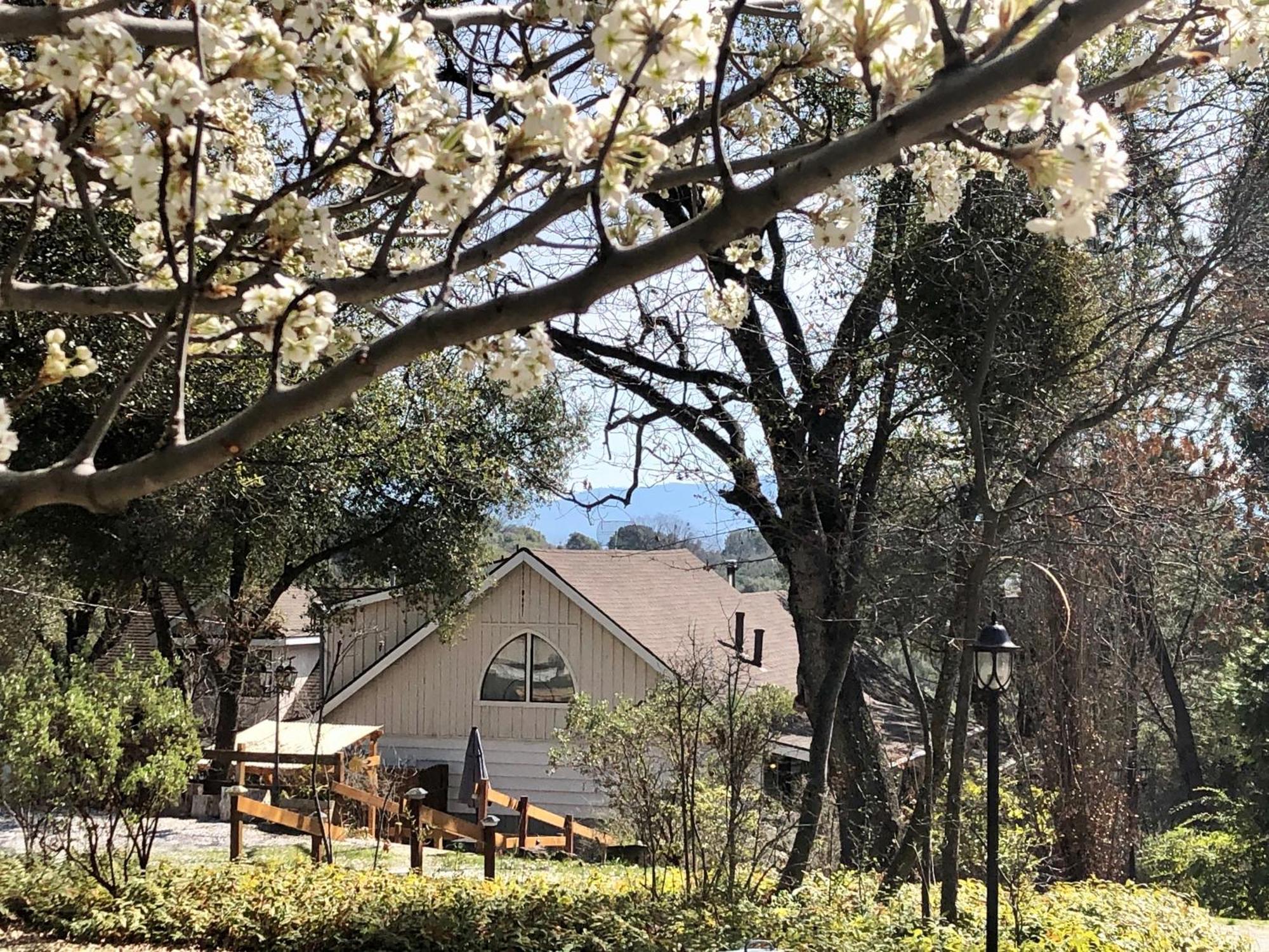 Sierra Mountain Lodge - Vacation Rentals - Yosemite 아와니 외부 사진